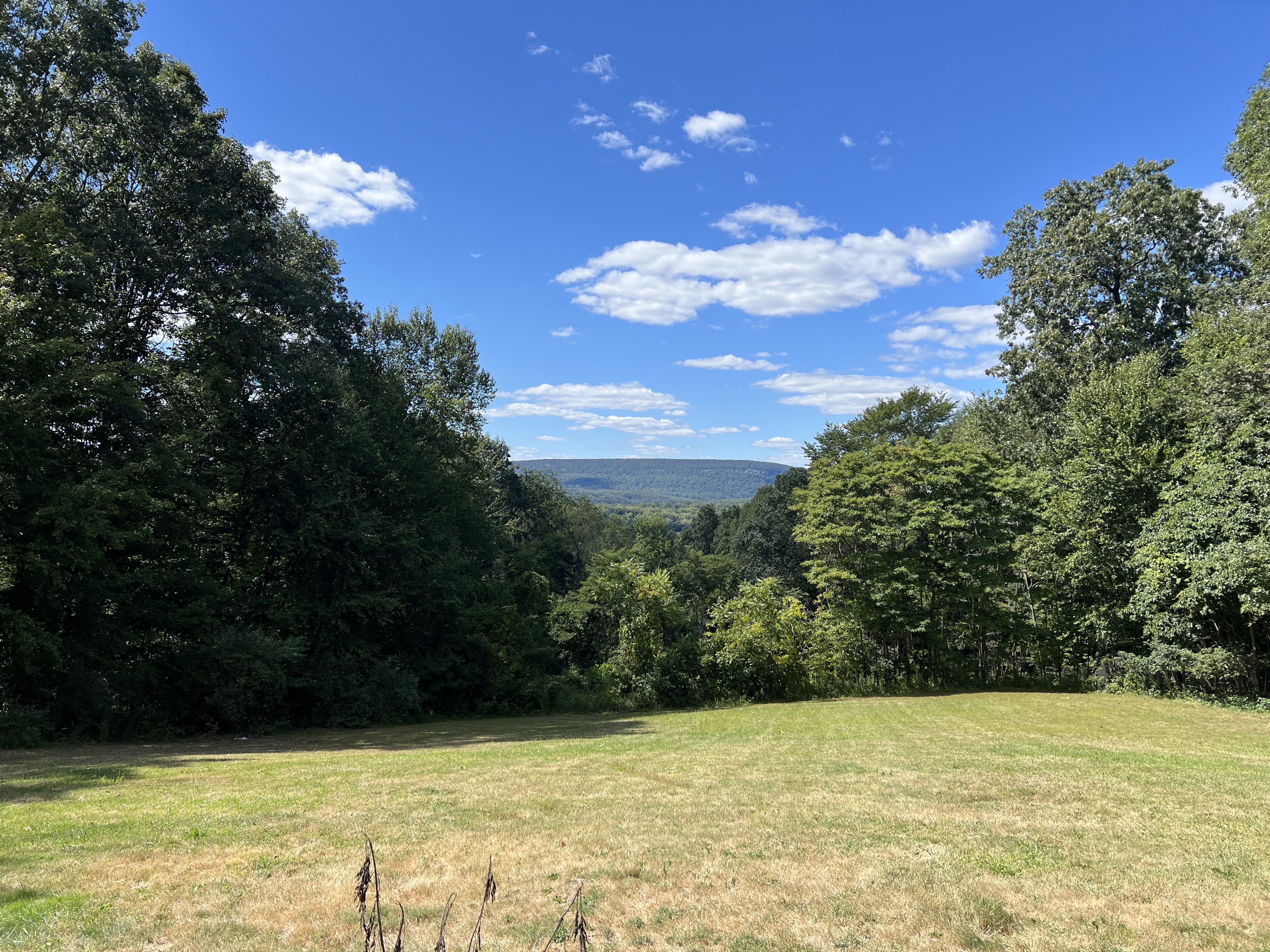 Scenic hilltop view with distant mountains
